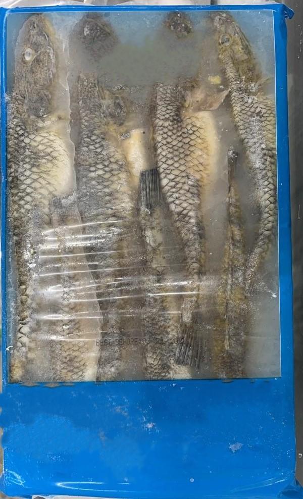 Shajalal Shoil block Fish 500 g - SHOBZEE