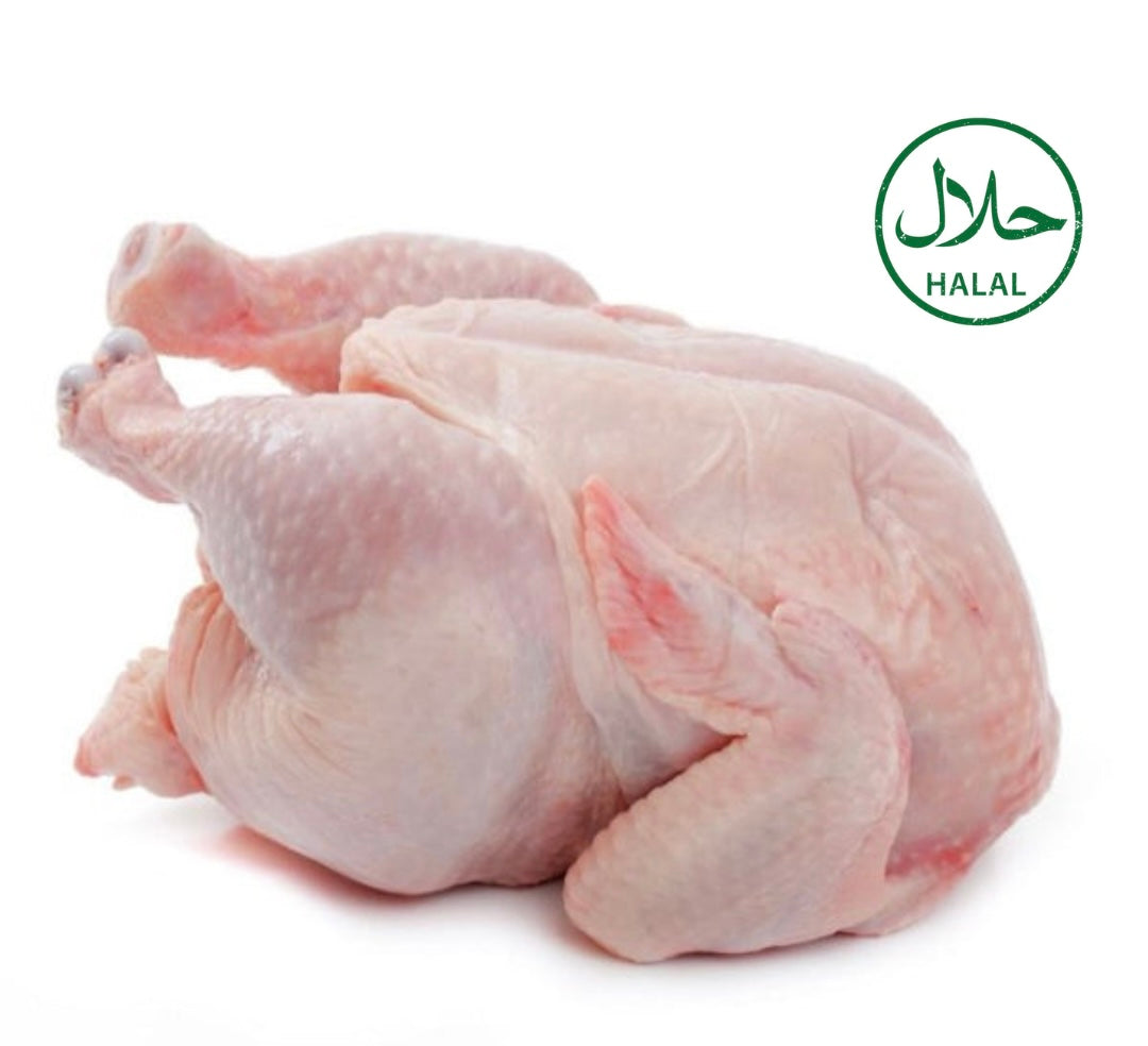 Fresh Regular Whole Chicken - SHOBZEE