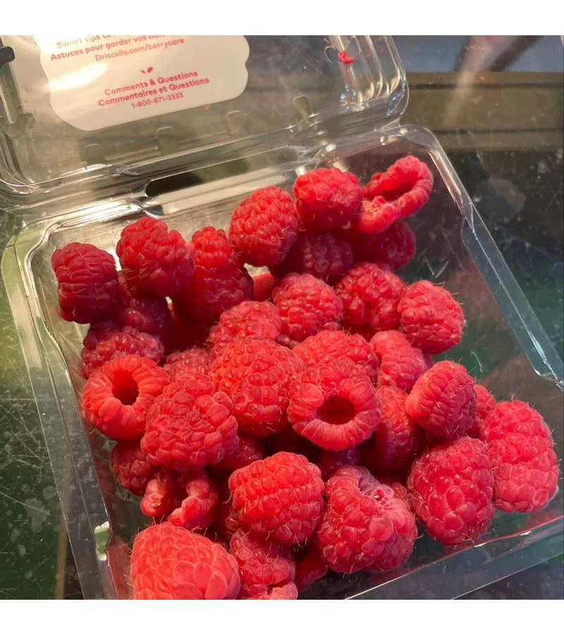 Organic Raspberries - 6oz