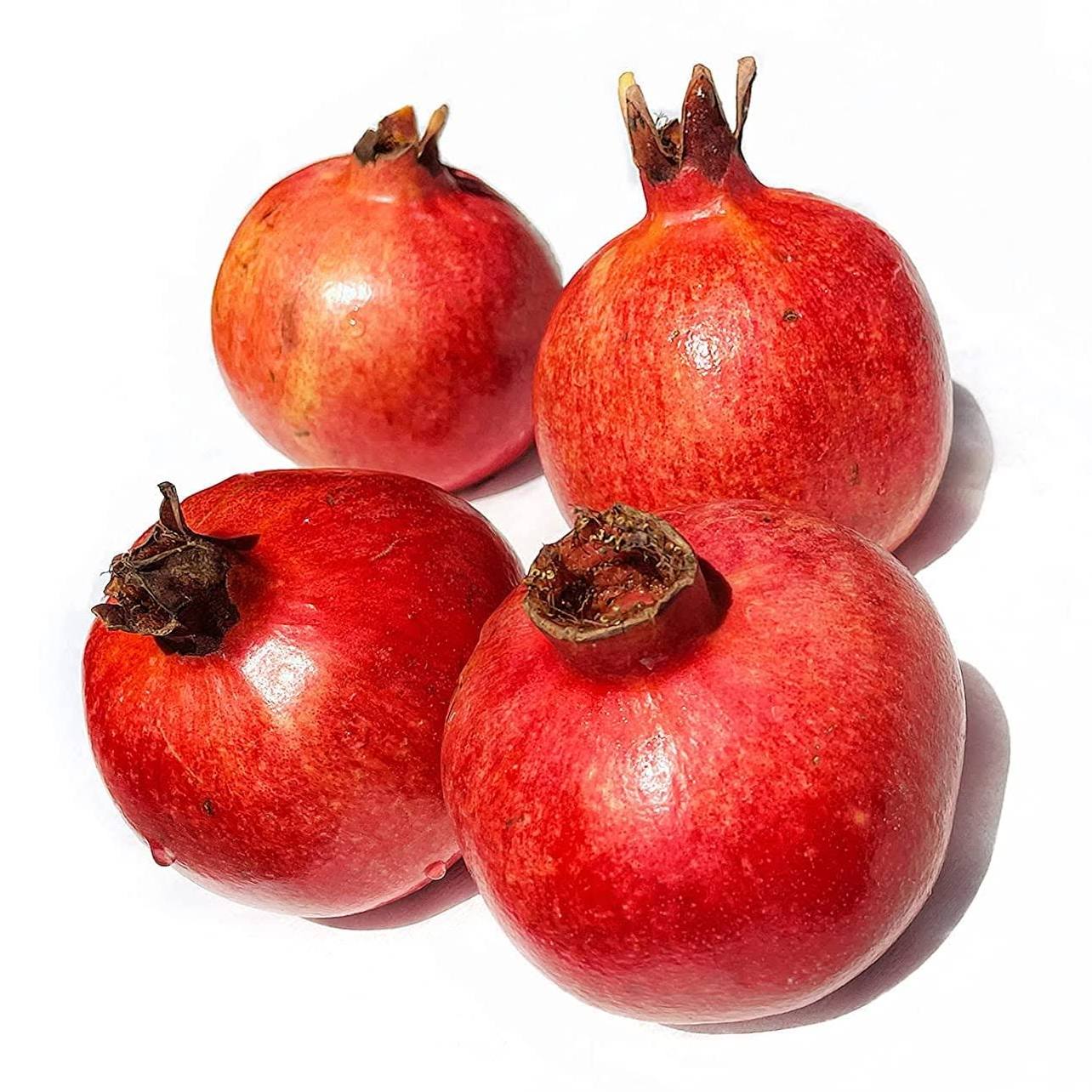 Pomegranate ($3.99 each) - SHOBZEE