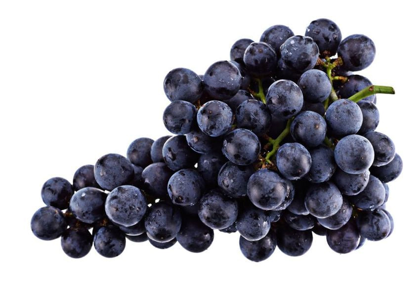 Black Seedless Grape - SHOBZEE