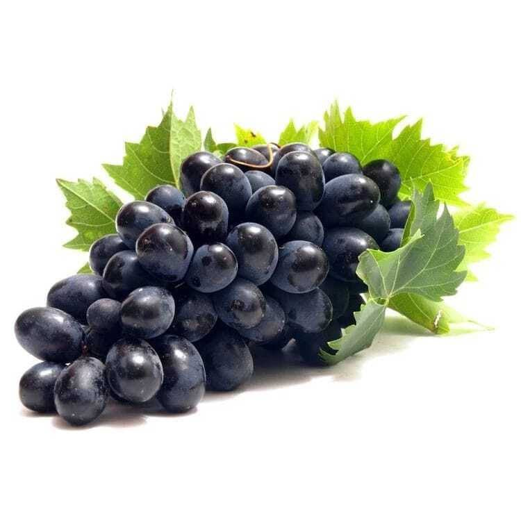 Black Seedless Grape - SHOBZEE