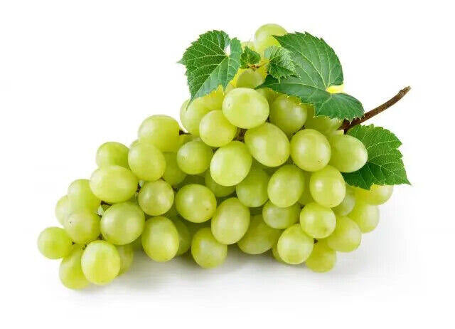 Green Seedless Grape - SHOBZEE