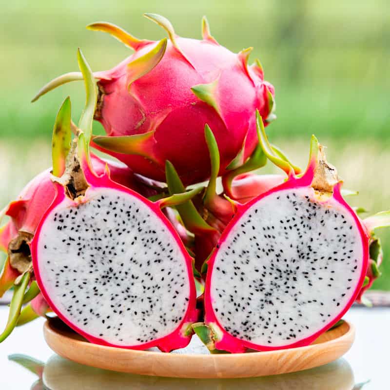 Dragonfruit - SHOBZEE