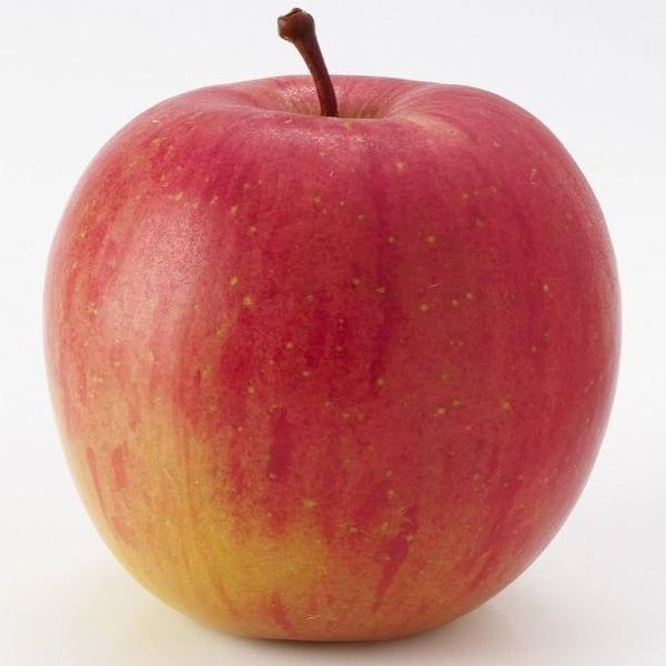 Fuji Apple - SHOBZEE